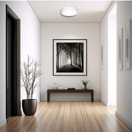 Plafon sufitowy LED biały 30cm - wysoka wydajność świetlna 100lm/W