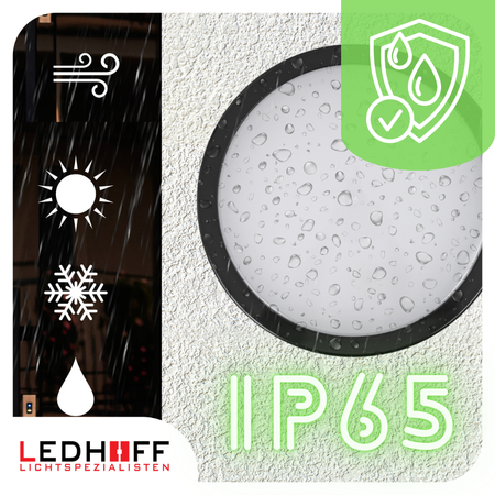Plafon LED Lampa sufitowa 22cm 3 barwy światła IP65 czarna