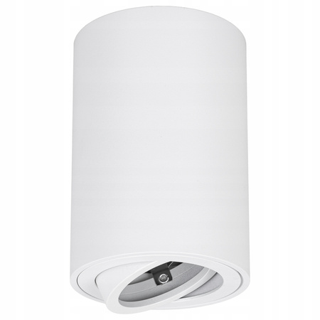 Oprawa halogenowa natynkowa TUBA LED GU10 Ruchoma BIAŁA do pokoju SPOT IP20