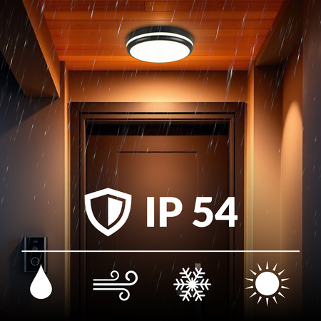 Plafon sufitowy LED okrągły czarny 3 barwy światła 22cm IP54