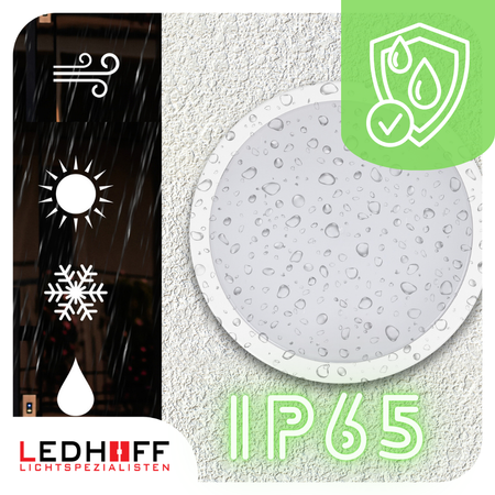 Plafon LED z CZUJNIKIEM RUCHU Lampa sufitowa 22cm ZEWNĘTRZNA