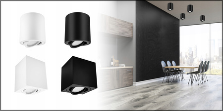 Oprawa halogenowa natynkowa TUBA LED GU10 Ruchoma BIAŁA do pokoju SPOT IP20