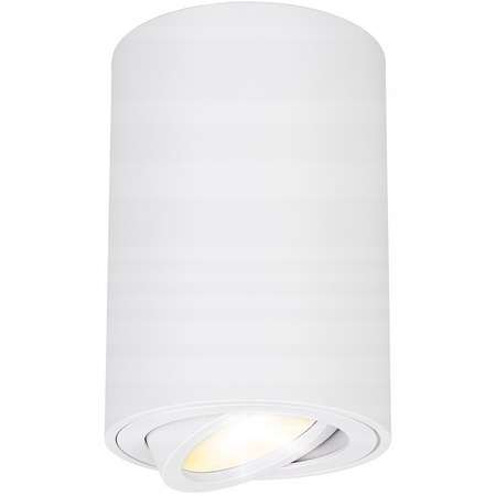 Oprawa halogenowa natynkowa TUBA LED GU10 Ruchoma BIAŁA do pokoju SPOT IP20